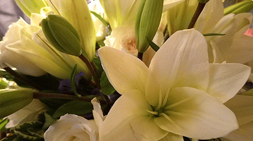 Floral Arrangement in Room Add On Service at Boone's Lick Trail Inn of St Charles Mo